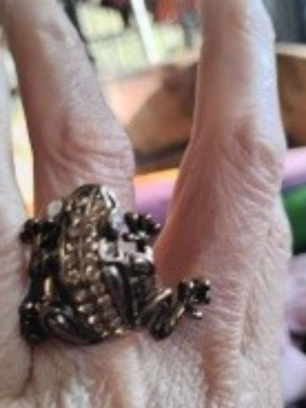 Embellished adjustable frog ring! - Picture 3 of 3